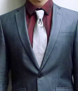 Men's Solid Light Gray Necktie