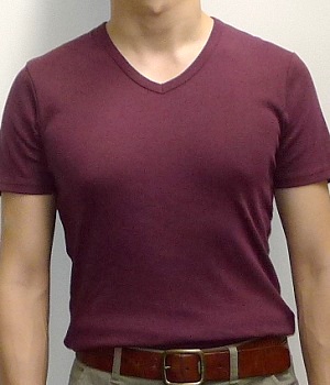 Zara Maroon V-neck Short Sleeve T-Shirt